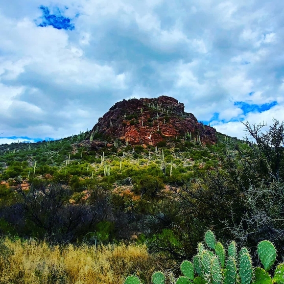 Meet your Posher, Dionne - Picture 1 of 1